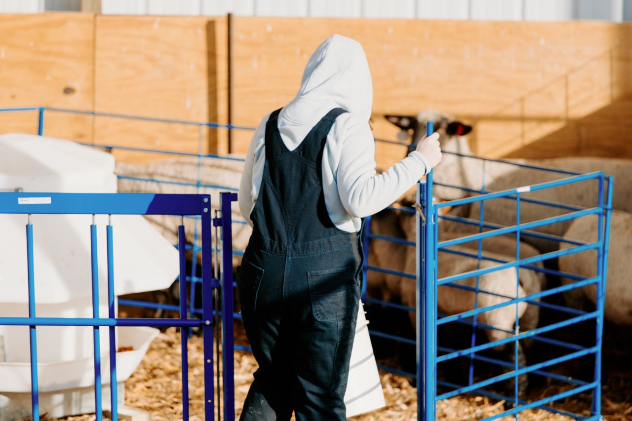 Sheep and goat handling equipment setup designed for safer handling and routine management