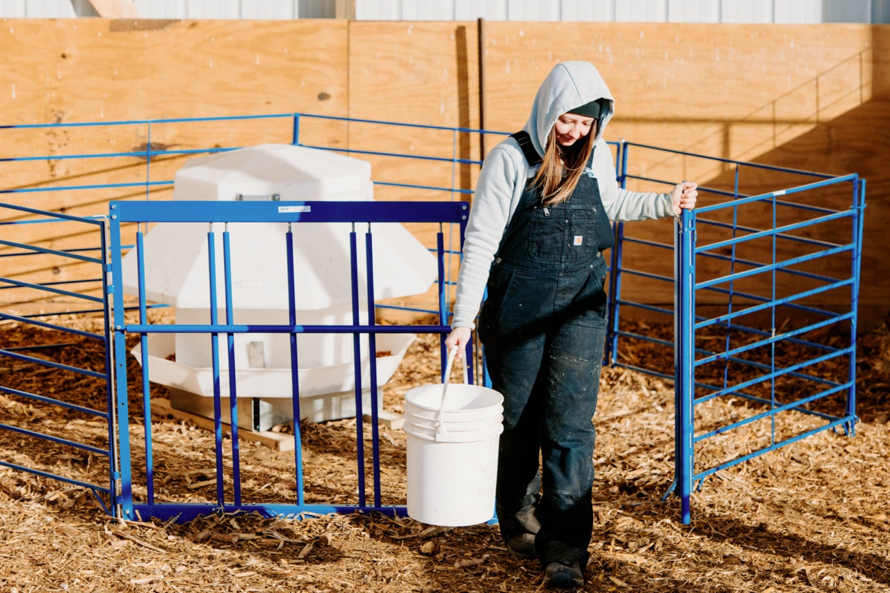 Complete Creep Feed Area Kit for Lambs & Kids – Adjustable