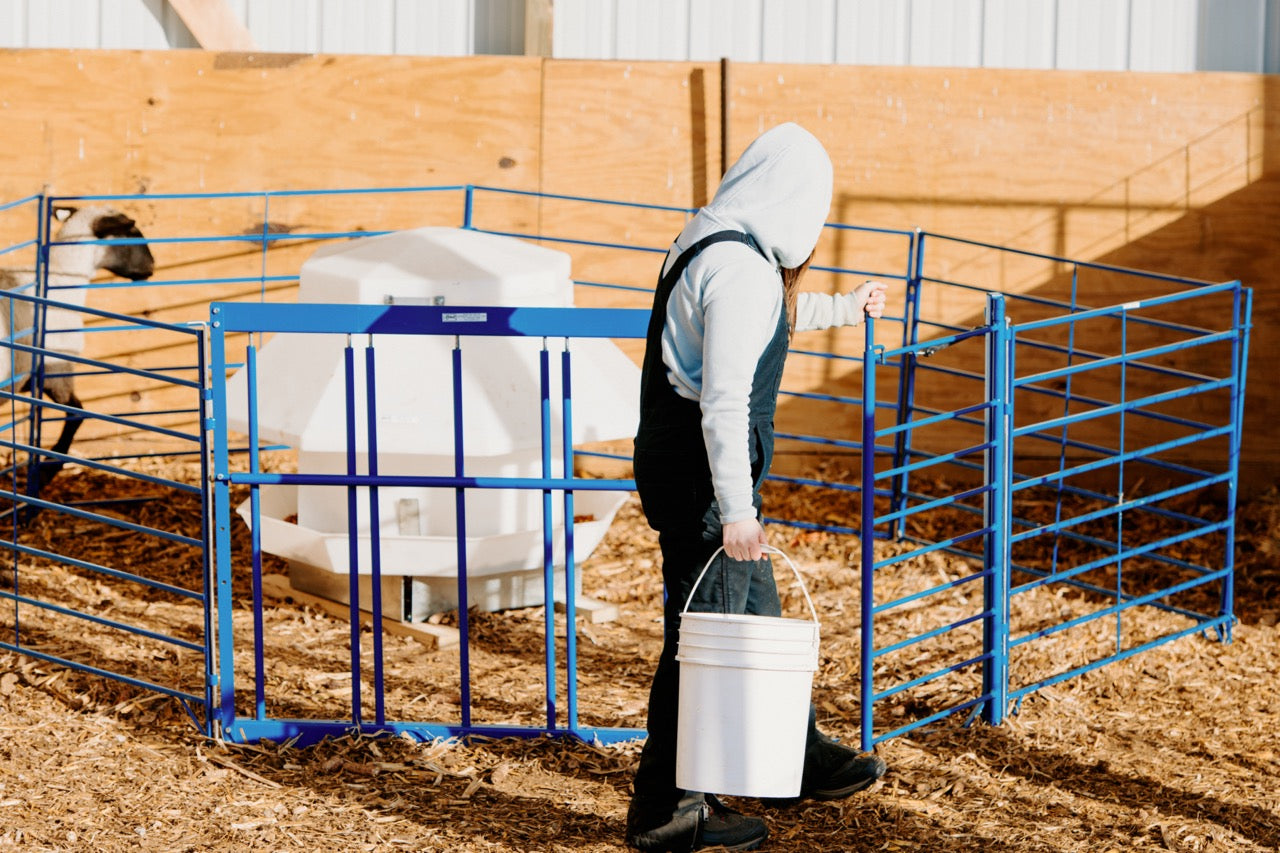 30" Walk-Thru Gate (940) installed in barn layout for efficient sheep and goat handling