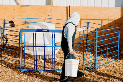 30" Walk-Thru Gate (940) installed in barn layout for efficient sheep and goat handling