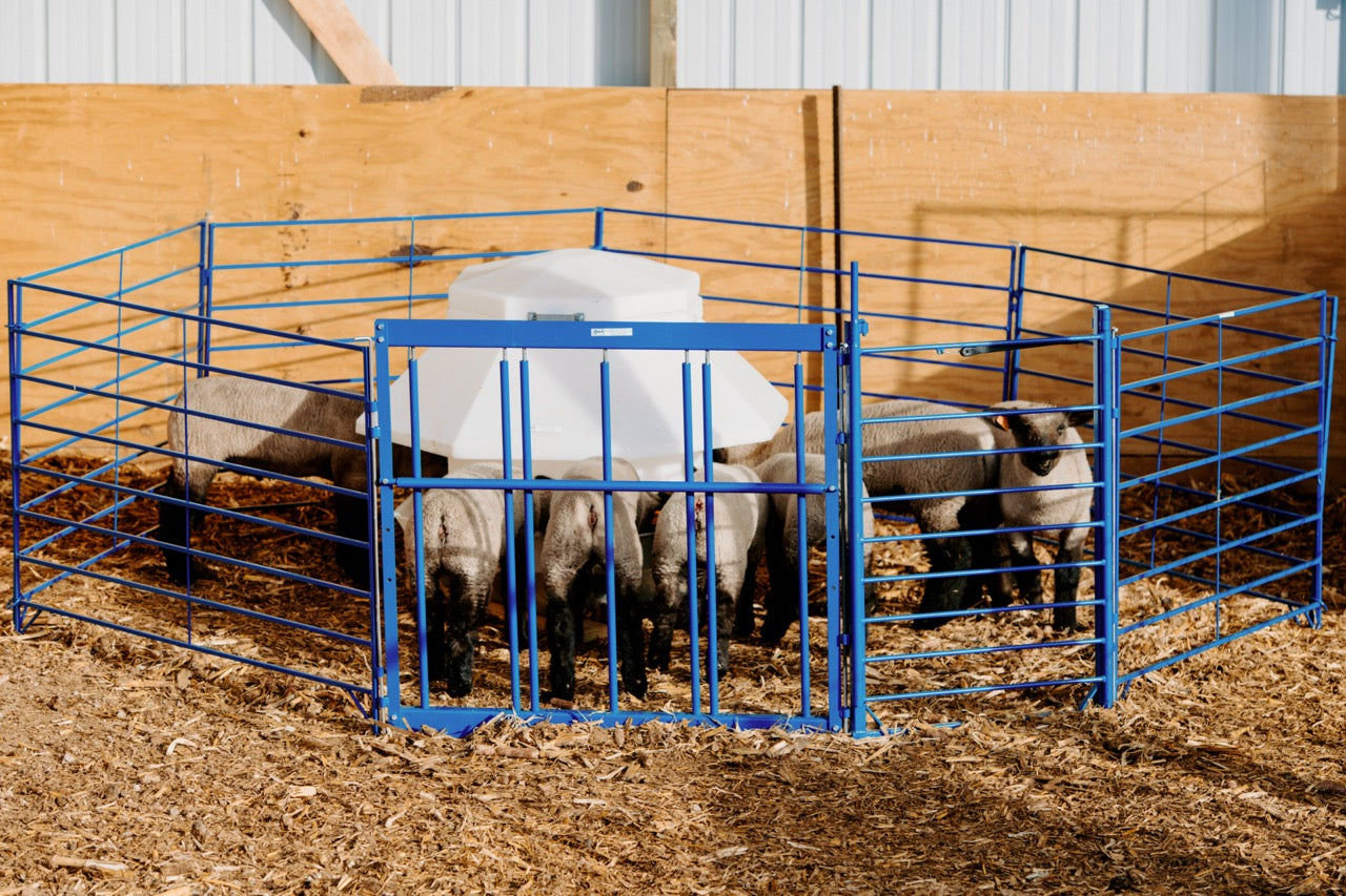 SydellEquipment-33CreepArea_withFeeder_Panels_CreepGate_Walk-ThruGate