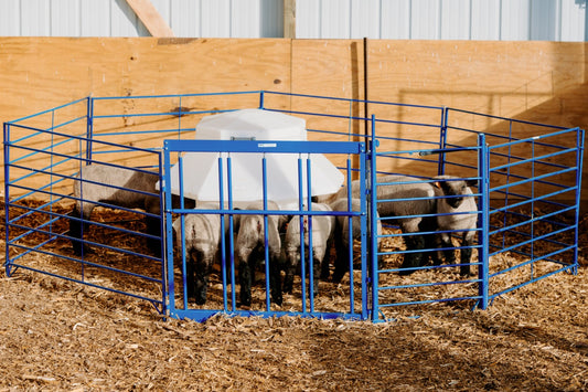 Complete Creep Feed Area Kit for Lambs &amp; Kids – Adjustable Creep Panel, Walk-Through Gate, (3) Lightweight Folding Panels From 5'–10' &amp; 400l