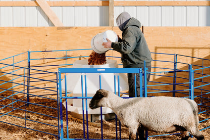 SydellEquipment-33CreepArea_withFeeder_Panels_CreepGate_Walk-ThruGate