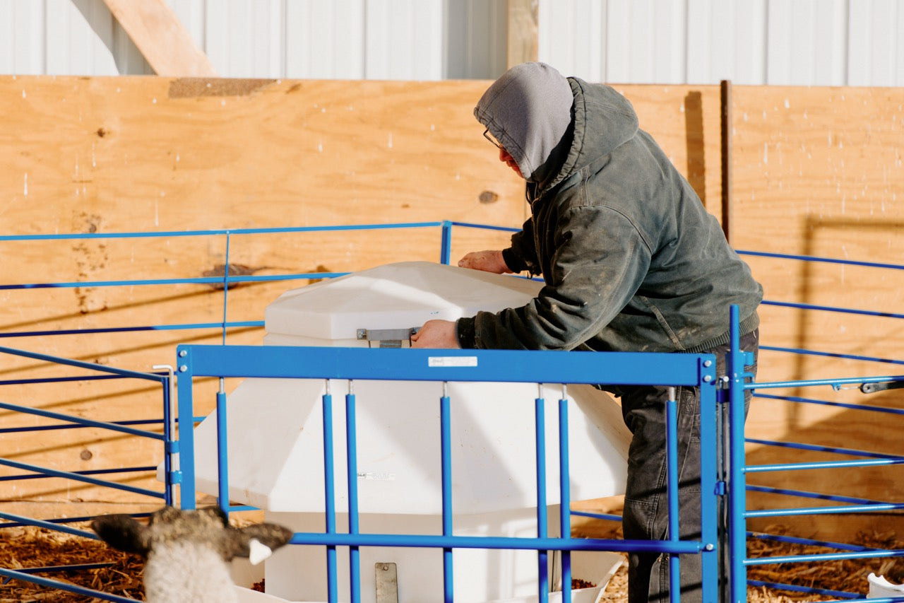 Sydell poly self feeder for goats and sheep lambing and kidding feeders