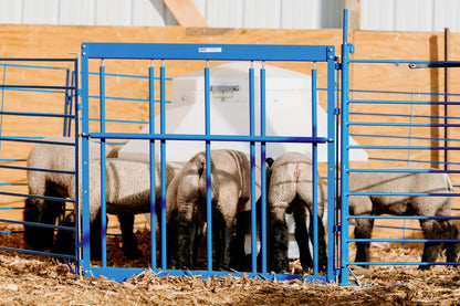 Sydell poly self feeder for goats and sheep lambing and kidding feeders