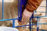 Sydell goat sheep equipment grafting gate for sheep or non-horned goats headlock