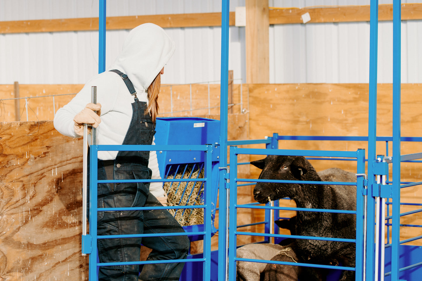 Deluxe Pin-In Standard Front Panel for Deluxe Lambing & Kidding Pens for Sheep & Goats | Sydell #0653-1