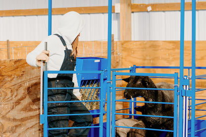 Deluxe Pin-In Standard Front Panel for Deluxe Lambing & Kidding Pens for Sheep & Goats | Sydell #0653-1
