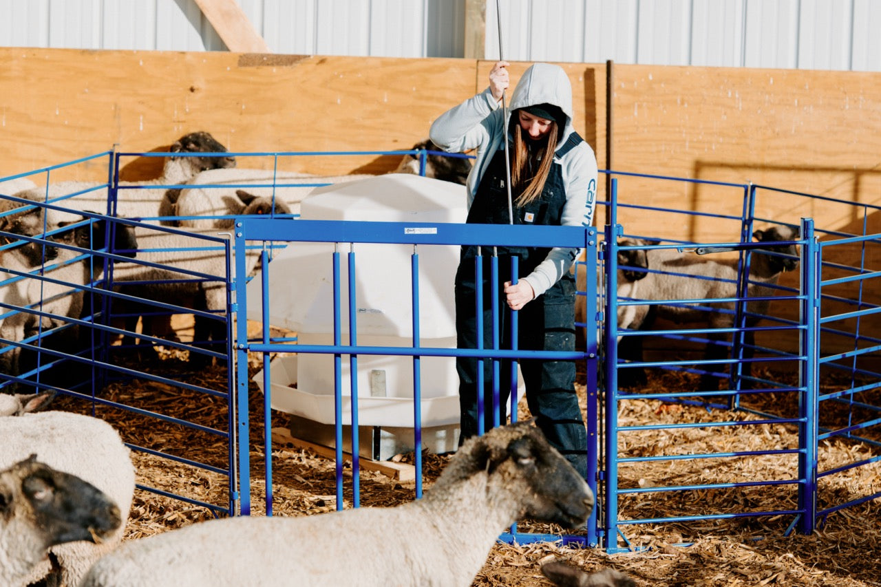 Sydell Adjustable Roller Creep Gate for lambing and kidding pens sheep goat equipment