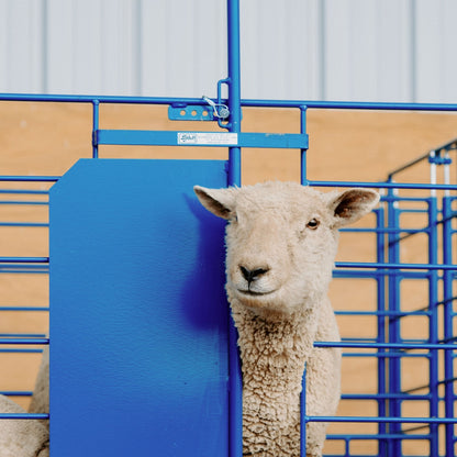 Grafting Gate for Non-Horned and Horned Stock for Sheep & Goats | Sydell #0460-4T / #0460-5T