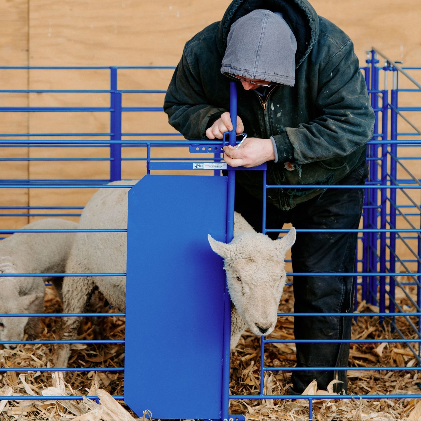 Grafting Gate for Non-Horned and Horned Stock for Sheep & Goats | Sydell #0460-4T / #0460-5T