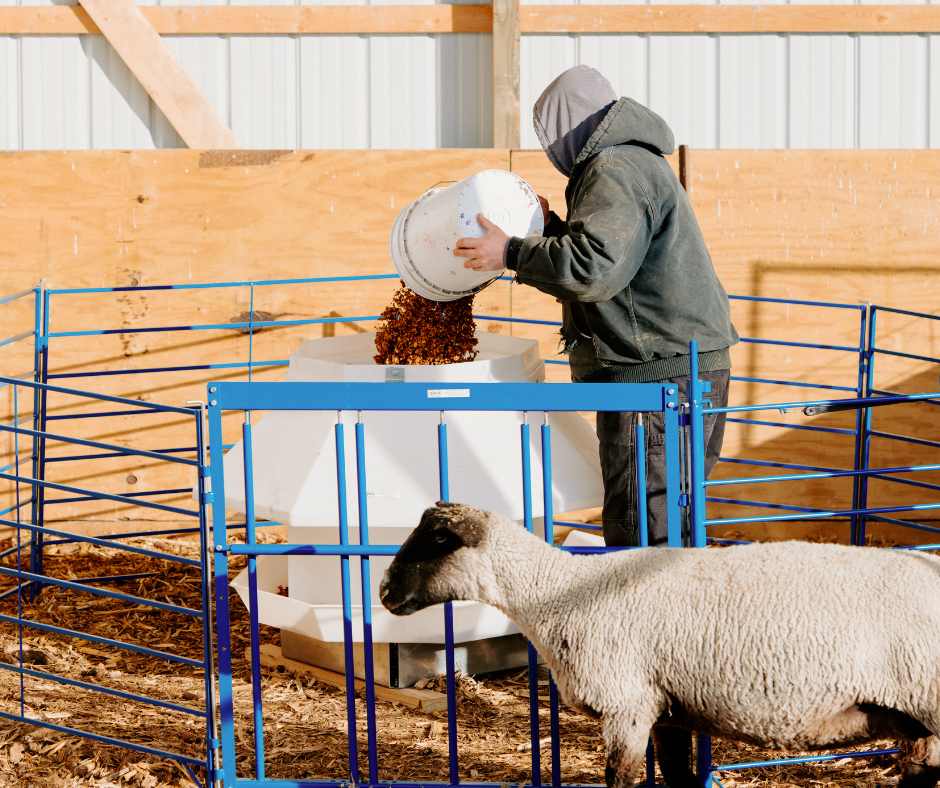 Adjustable Roller Creep Panel for Sheep & Goats | Lamb & Kid Creep Adjustable Roller Creep Panel for Sheep & Goats | Lamb & Kid Creep