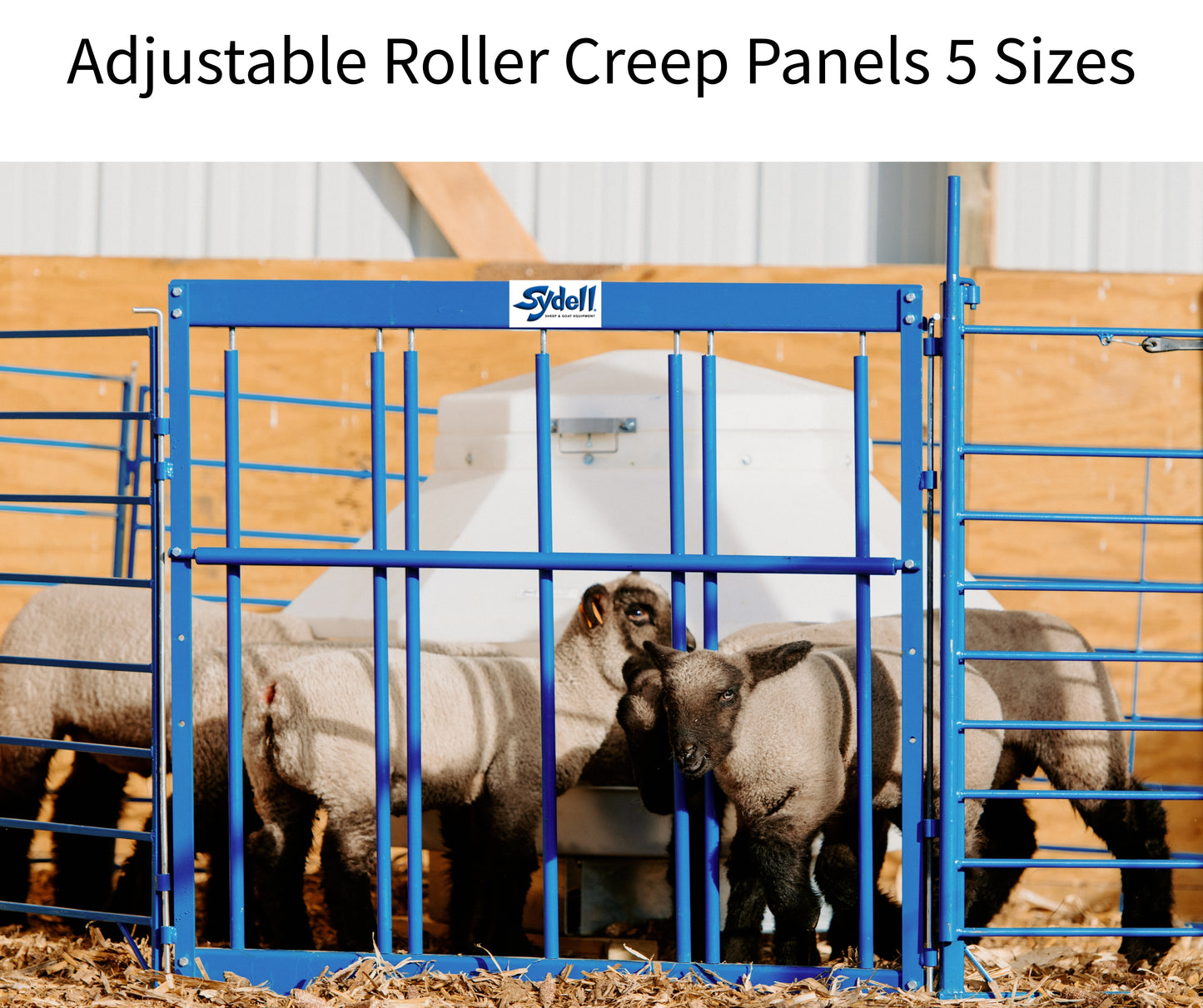 Adjustable Roller Creep Panel for Sheep & Goats | Lamb & Kid Creep Feeding Gate – Item 0470 sheep and goat lambing pen for livestock handling and an