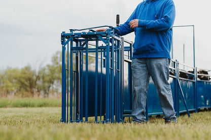 Complete Cage with Auto Headgate (971) installed in barn layout for efficient sheep and goat handling