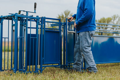 Barn system used for hoof trimming, sorting and controlled livestock movement
