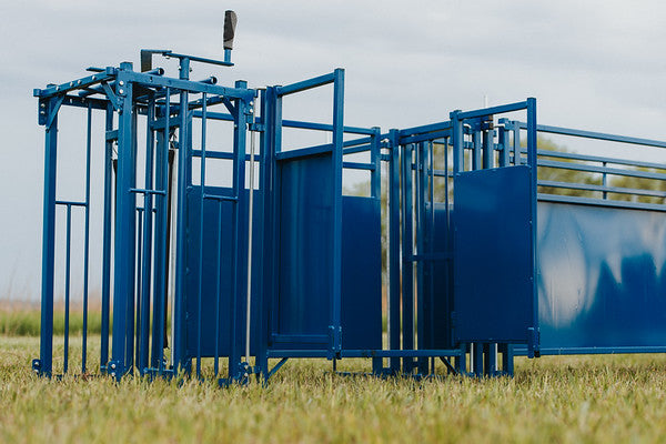 Sheep and goat handling equipment setup designed for safer handling and routine management