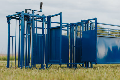 Sheep and goat handling equipment setup designed for safer handling and routine management