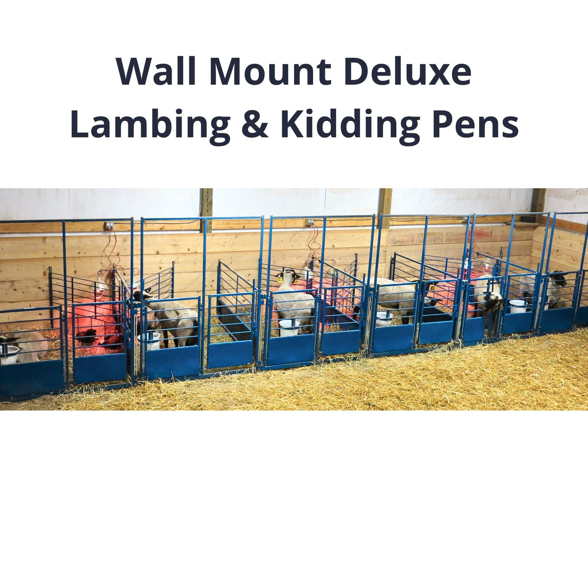 Text reading 'Wall Mount Deluxe Lambing & Kidding Pens' above a photo of a blue metal pen setup with several sheep inside on a hay-covered floor in a barn.