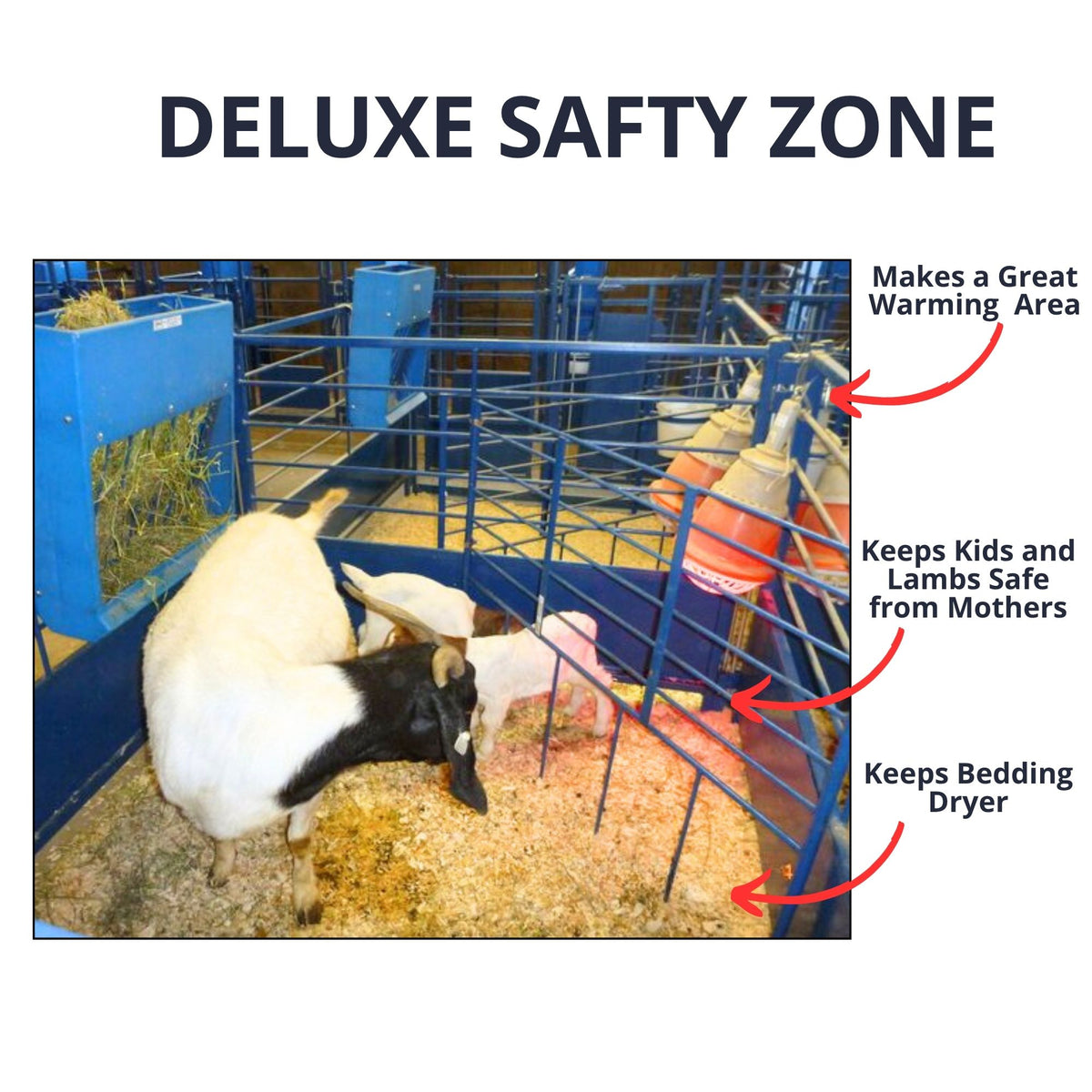 Starter Safety Zone for Deluxe Lambing/Kidding Pens (653-5A) installed in barn layout for efficient sheep and goat handling