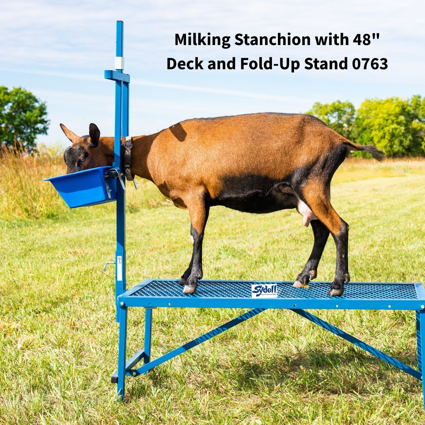 Milking Stanchion for Sheep & Goats | Sydell #0736