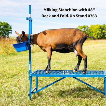 Fold-Up Milking Stanchion with 48" or 36" Deck & Poly Feeder Set 0736 for Sheep & Goats | Sydell #0736-36 / #0736 / #AL736-36 / #AL0736
