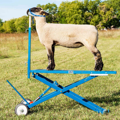 Hydraulic Stand for Sheep & Goats | Sydell #0780