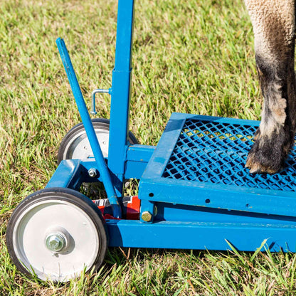 Hydraulic Stand for Sheep & Goats | Sydell #0780