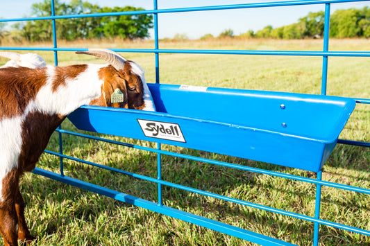 Sydell 3 foot poly trough goat sheep feeder