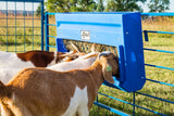 PolyHayGrainpolyhaygrainfeeder-sydell-sheep-goat-farm-handling-equipment-feeder-trough-hangingfeeder-polyfeeder-plasticfeeder-lifestyle-photo-goats