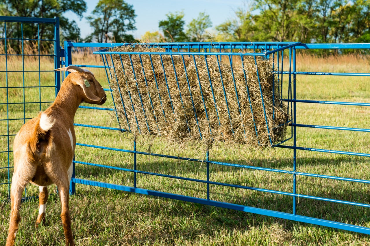 4' Steel Hay Basket for Sheep & Goats – Panel Mount | Sydell 0203 installed in barn layout for efficient sheep and goat handling