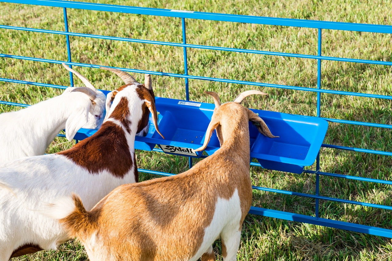 Detail view of livestock equipment connection and adjustable components for sheep and goats