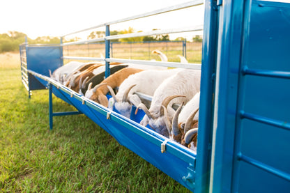 Feeding system used for hoof trimming, sorting and controlled livestock movement