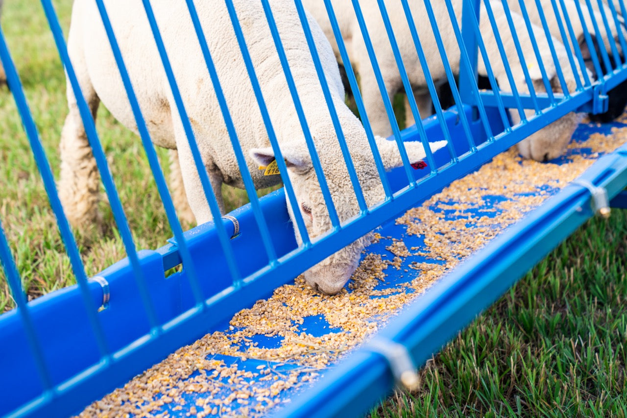 Detail view of grain feeder connection and adjustable components for sheep and goats