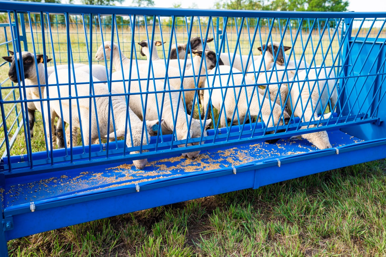 Detail view of hay feeder connection and adjustable components for sheep and goats