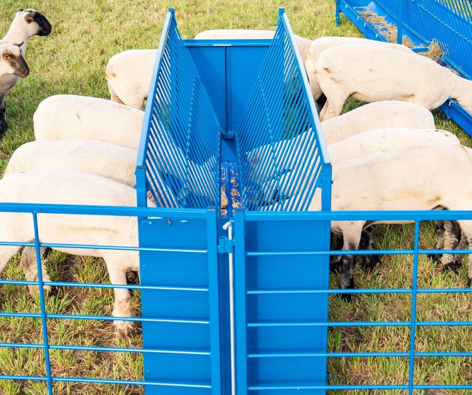 Bale feeder used for hoof trimming, sorting and controlled livestock movement