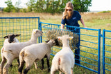 HayBaskethaybasket-sydell-sheep-goat-farm-handling-equipment-feeder-trough-hangingfeeder-polyfeeder-plasticfeeder-durablefeeder-heavyduty-hayfeeder-haybasket