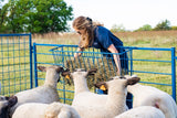 HayBaskethaybasket-sydell-sheep-goat-farm-handling-equipment-feeder-trough-hangingfeeder-polyfeeder-plasticfeeder-durablefeeder-heavyduty-hayfeeder-haybasket