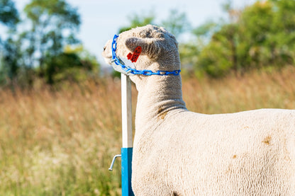 Small Head Piece –Item 0731-S sheep and goat handling equipment for livestock handling and animal flow