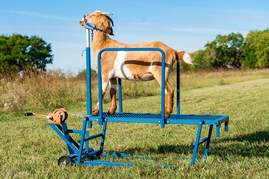 Safety Rails – Item #0721 For Sydell SHOWMAN’S BEST Stands & Milking Stanchions sheep and goat fitting stand for livestock handling and animal flow
