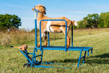 Sydell goat and sheep stand with winch block