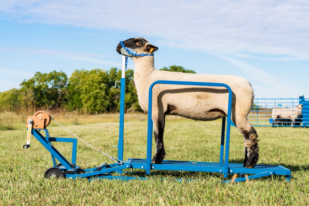 Sydell goat and sheep stand with winch block