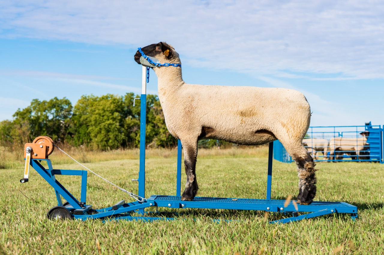 GOATBED / 『FLOAT』会場限定セット②L MELANCHOL Winch Blocking Stand - up to 19 | Sheep & Goat Show Equipment