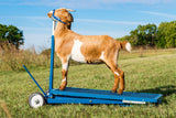 Sydell goat and sheep hydraulic stand with cast aluminum wheels