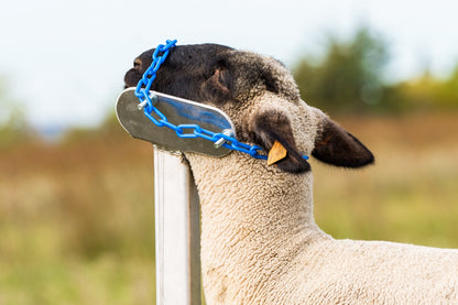 Detail view of livestock equipment connection and adjustable components for sheep and goats