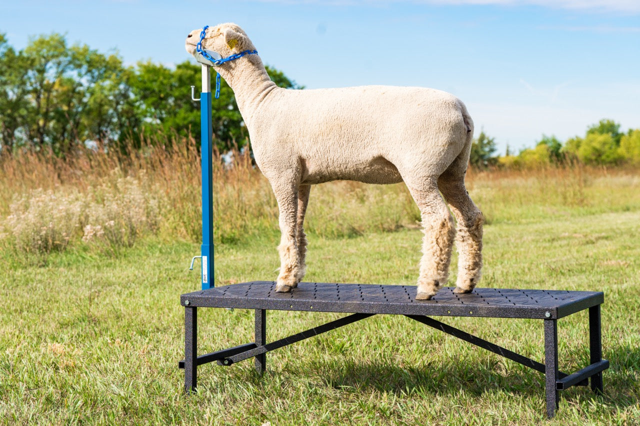 Detail view of fitting stand connection and adjustable components for sheep and goats