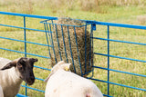 Wire hanging basket for hay feeding sheep and goats - lifestyle photo