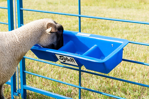 Sydell 2 foot divided poly trough goat sheep feeder