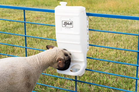 Sydell poly mineral feeder for goat and sheep 
