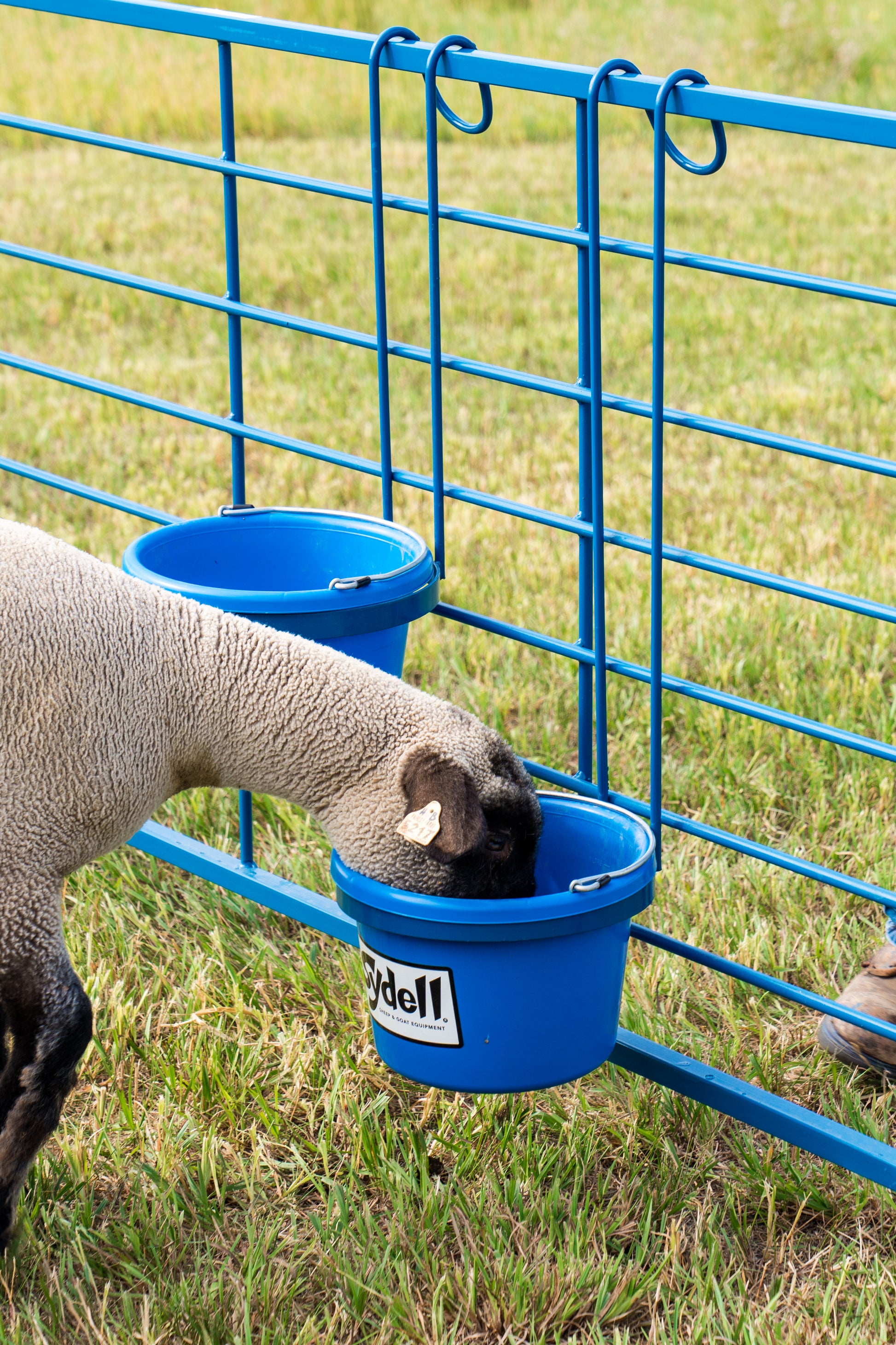 Panel system used for hoof trimming, sorting and controlled livestock movement