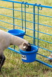 pail-bucket-holder-Sydell-sheep-and-goat-farm-equipment